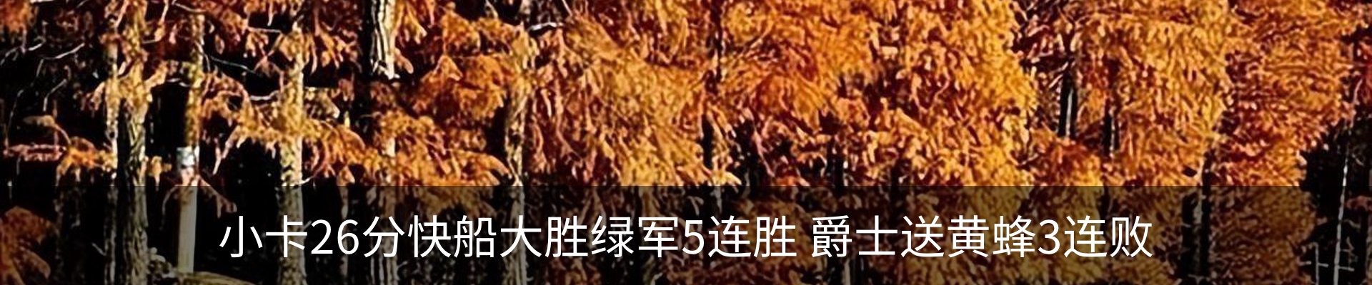 资讯动态